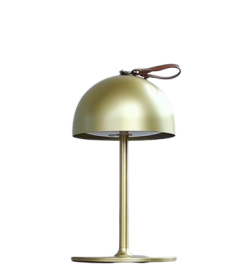 edab0447-f4d2-4eba-b245-3818578454d5.__CR228_77_1023_767_PT0_SX800_V1___-removebg-preview